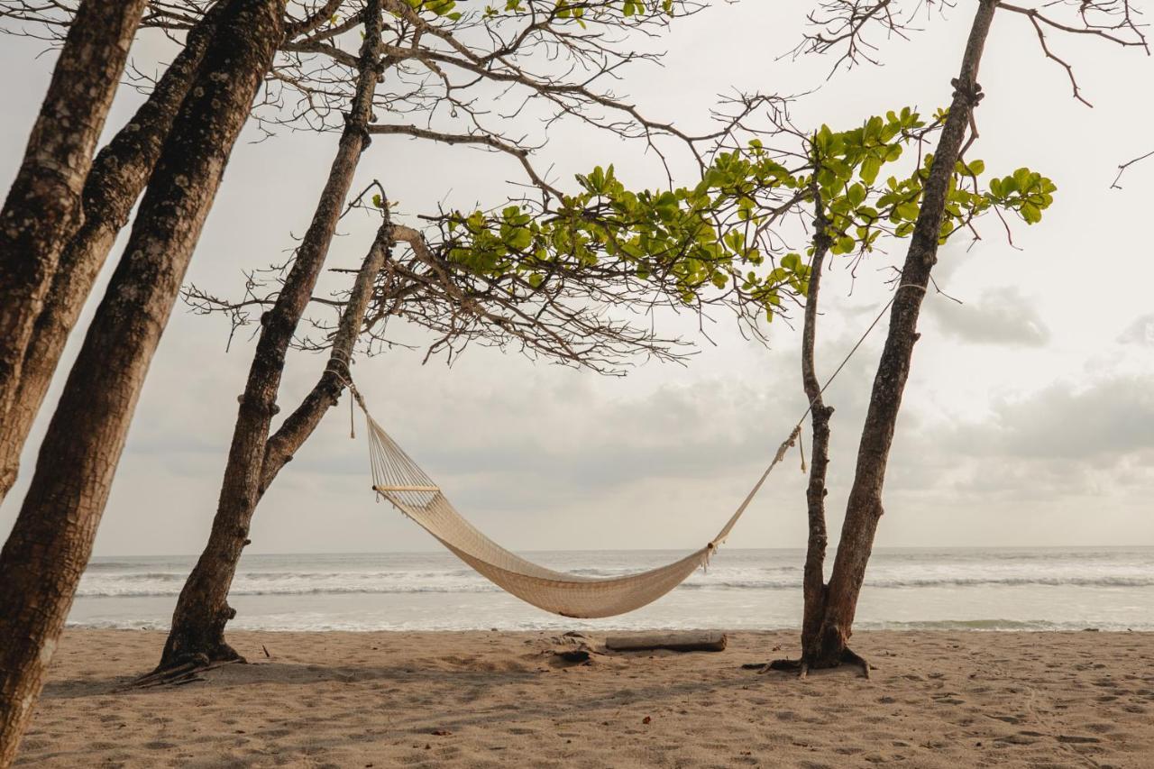 Blue Mist Hotel- Adults Only Playa Santa Teresa  المظهر الخارجي الصورة